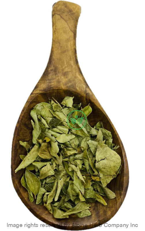 Curry Leaves Whole - Alpine Herb Company Inc.