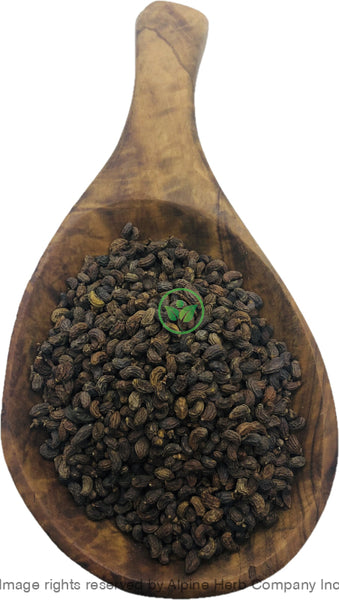 Ligustrum Lucidum Berry - Glossy Privet Fruit  Alpine Herb Company Inc.