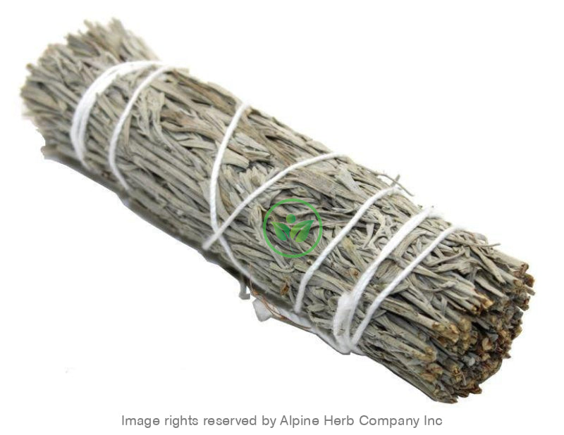 Sage Smudge Stick Blue - 4" - Alpine Herb Company Inc.