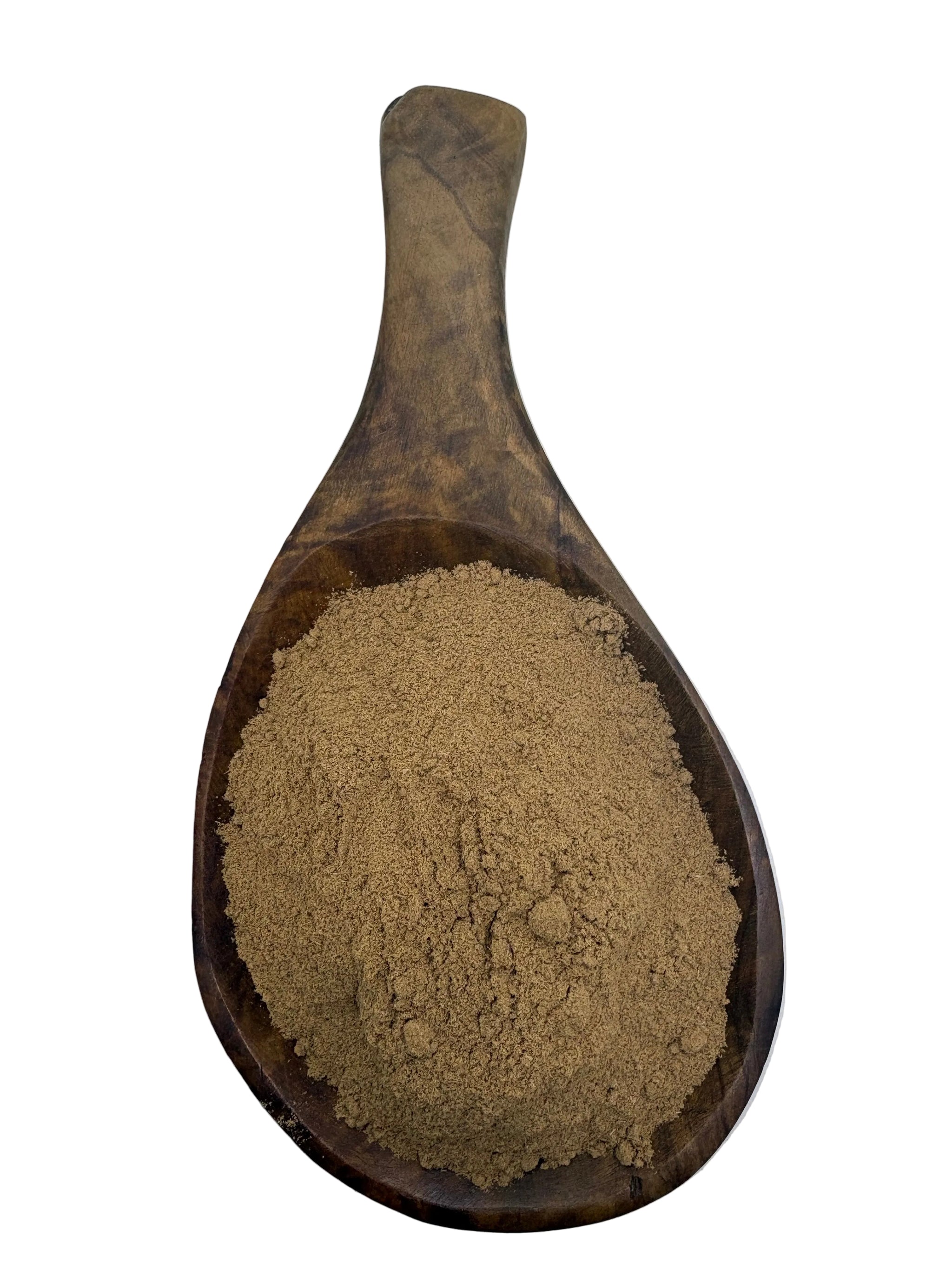 Tree Sponge Powder Aspen Tree Bark Powder – Alpine Herb Company Inc.