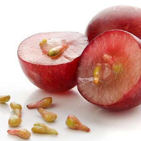 Grapeseed Oil - Alpine Herb Company Inc