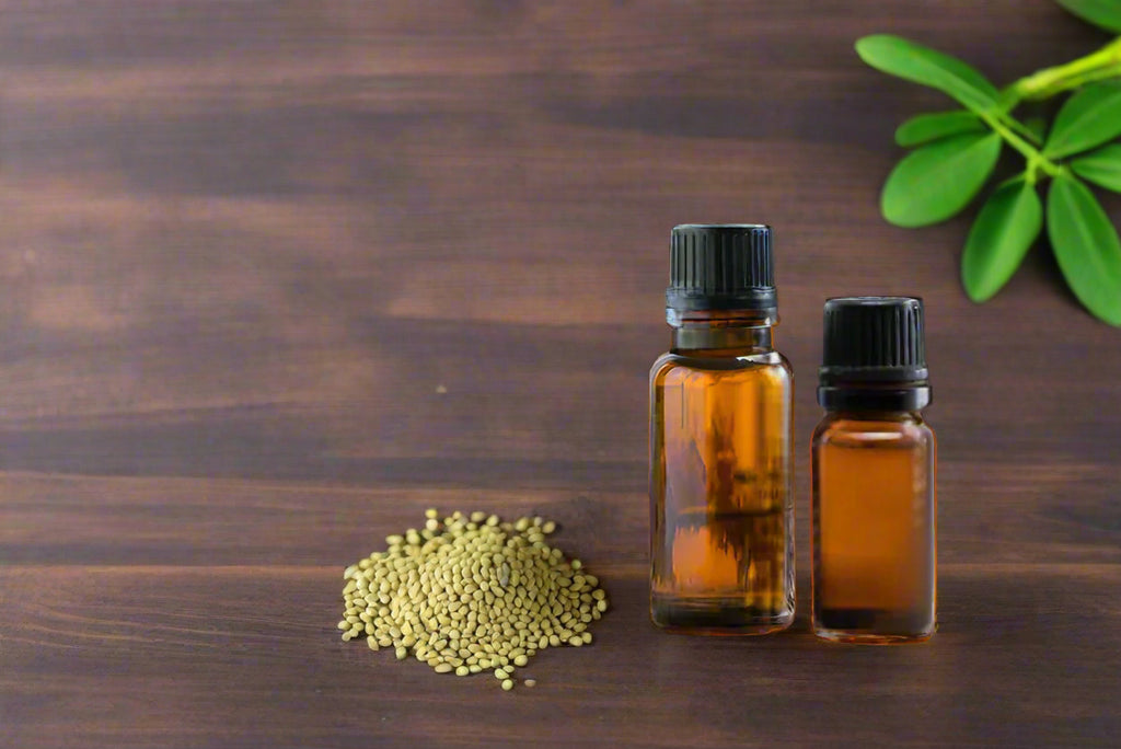 Moringa Seed Oil - Alpine Herb Company Inc.