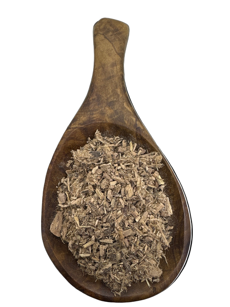 Stiillingia Root Cut - Alpine Herb Company Inc.