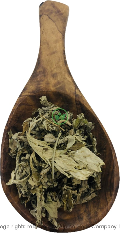 Ai Ye (Argyi Wormwood Leaf) - Alpine Herb Company Inc