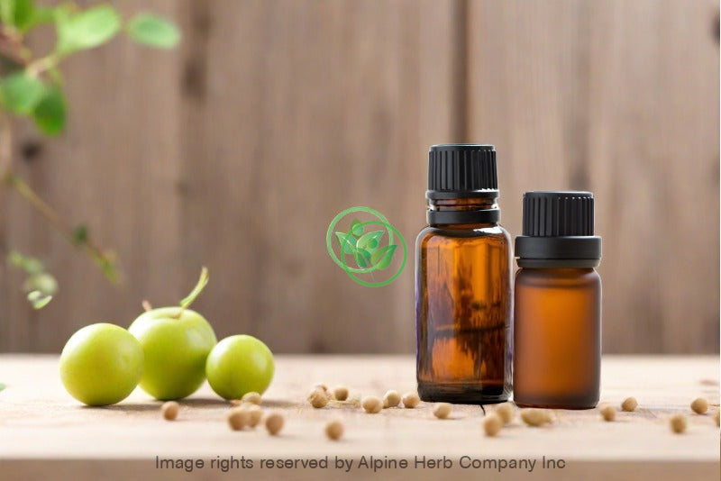 Amla Seed Oil - Alpine Herb Company Inc.