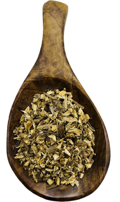 Angelica Root Cut - Alpine Herb Company Inc.