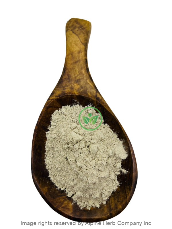 Angelica Root Powder - Alpine Herb Company Inc. 