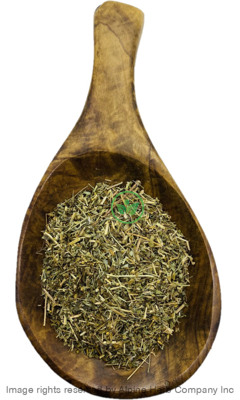 Bhui Amla Herb Cut (Chanca Piedra) - Alpine Herb Company Inc.