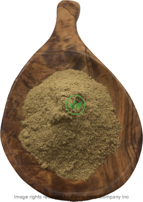Bhui Amla Powder (Chanca Piedra) - Alpine Herb Company Inc.