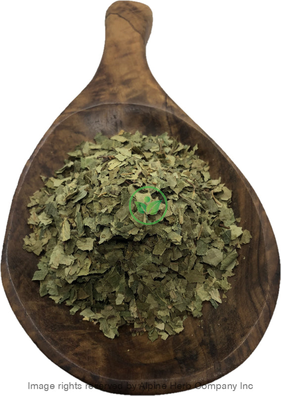 Birch Leaves Cut - Alpine Herb Company Inc.
