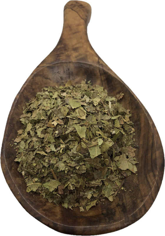 Black Walnut Leaves Cut - Alpine Herb Company Inc.