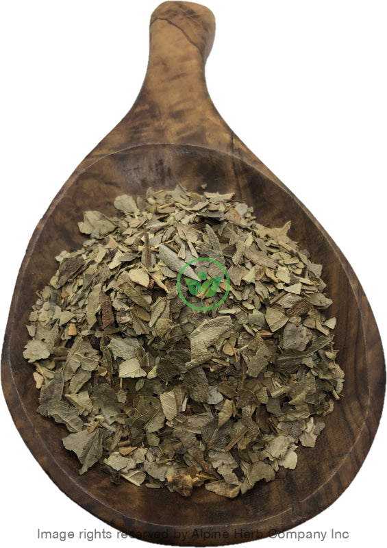 Boldo Leaves Cut - Alpine Herb Company Inc.