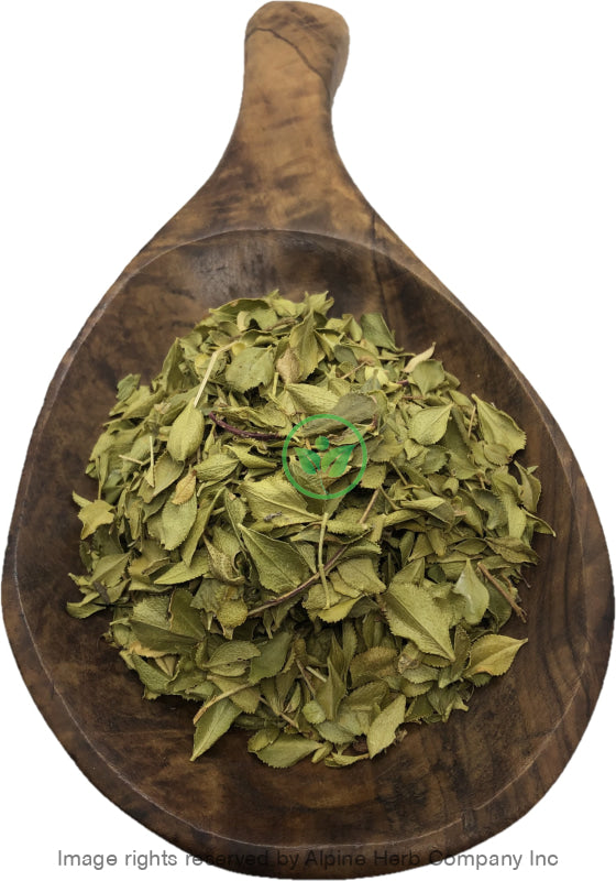 Buchu Leaves Cut - Alpine Herb Company Inc.
