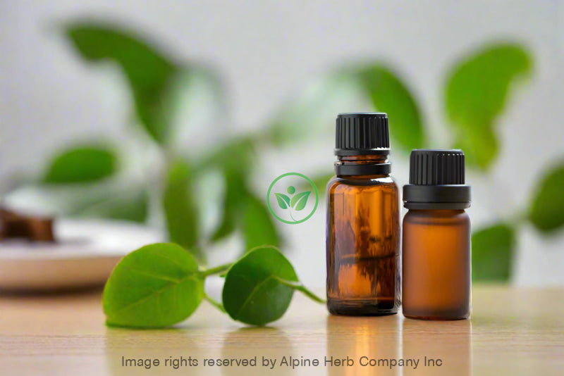 Cajeput Oil - Alpine Herb Company Inc.