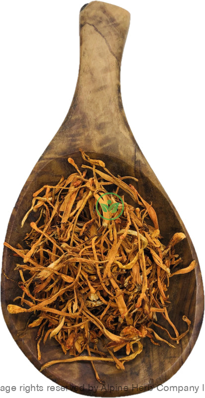 Cordyceps - Alpine Herb Company Inc.