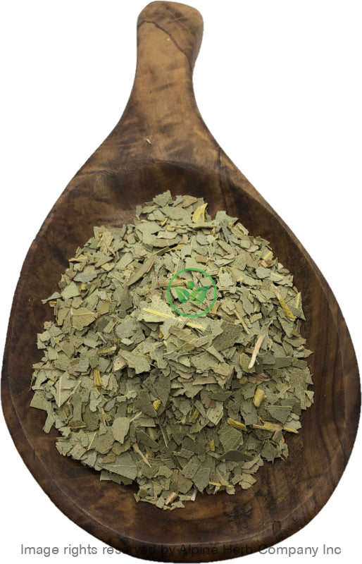 Eucalyptus Leaves Cut - Alpine Herb Company Inc.