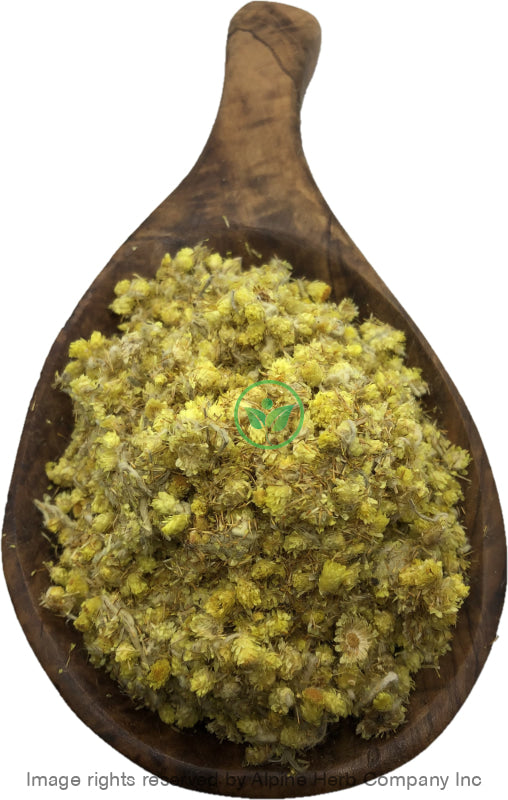 Everlasting Flower - Alpine Herb Company Inc.