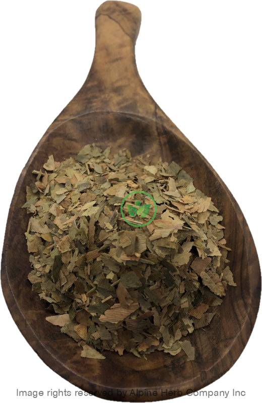 Ginkgo Leaves Cut - Alpine Herb Company Inc.