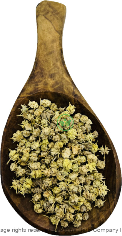 Goksura Fruit Whole - Alpine Herb Company Inc.
