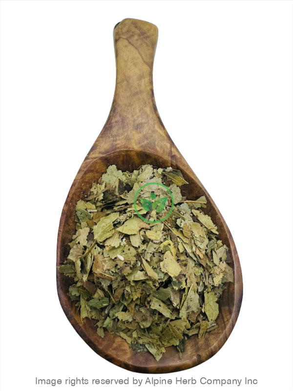 Graviola Leaves Cut - Alpine Herb Company Inc.