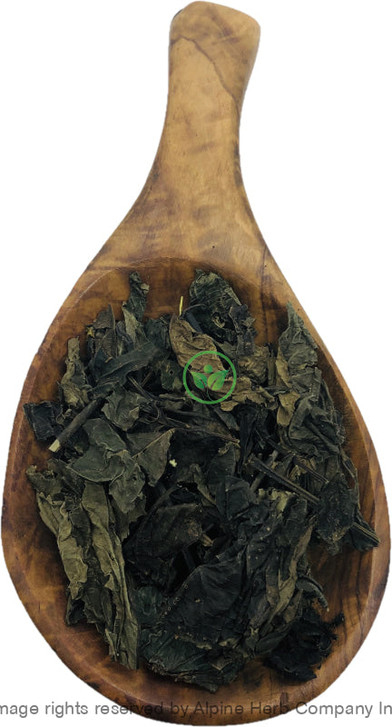 Isatis Leaves Cut - Alpine Herb Company Inc.