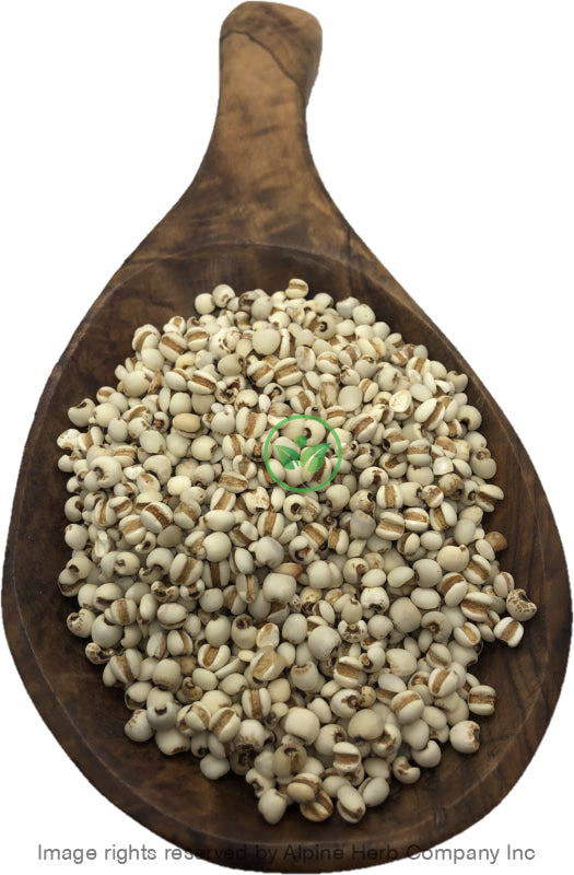 Job Tears (Pearl Barley) - Alpine Herb Company Inc.