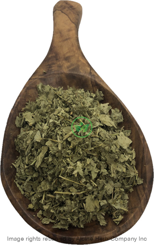 Lady's Mantle Herb Cut - Alpine Herb Company Inc.