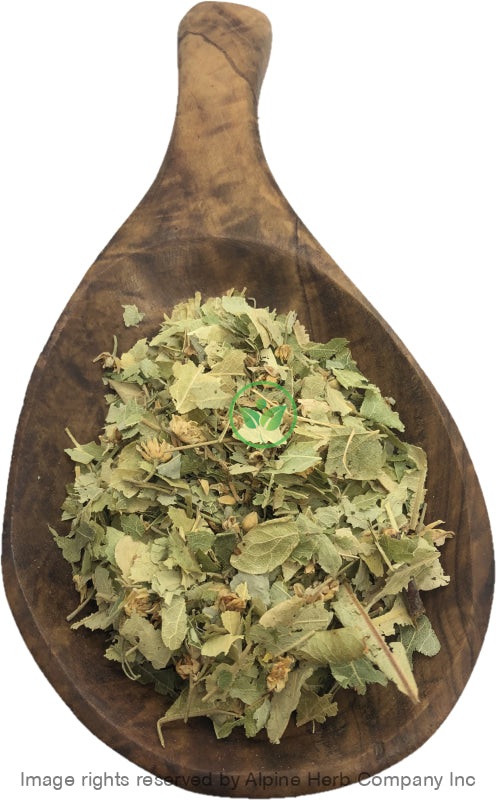 Linden Leaves & Flowers Cut - Alpine Herb Company Inc.