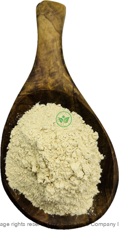 Lion’s Mane Mushroom Powder - Alpine Herb Company Inc.