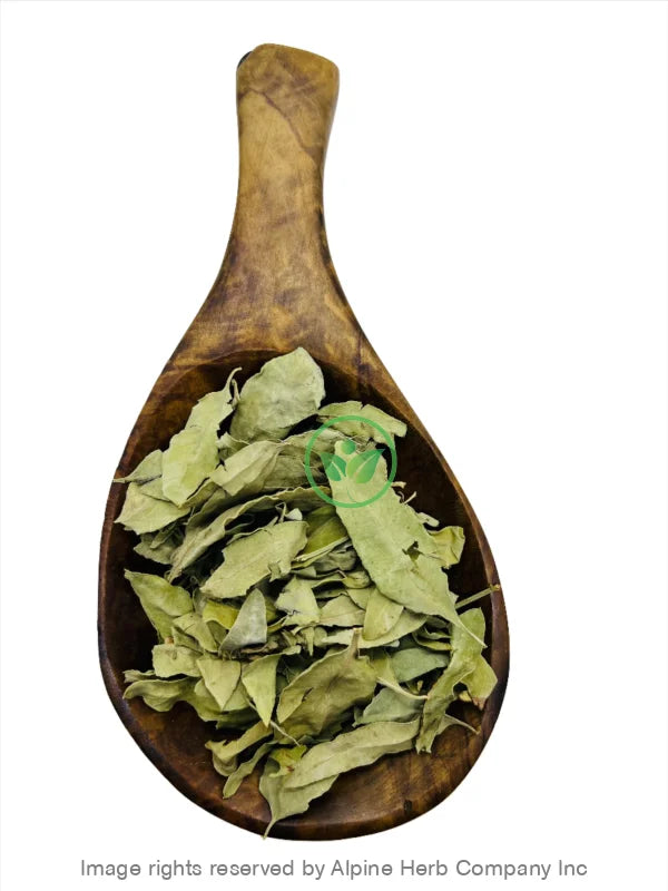 Luo Bu Ma Tea - Alpine Herb Company Inc.