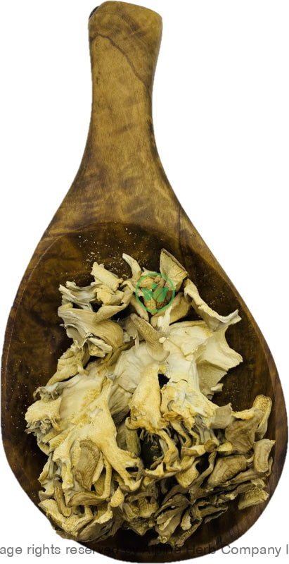 Maitake Mushroom Whole Herb