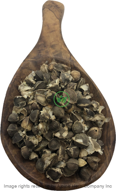 Moringa Seed Whole - (With Shell) - Alpine Herb Company Inc.