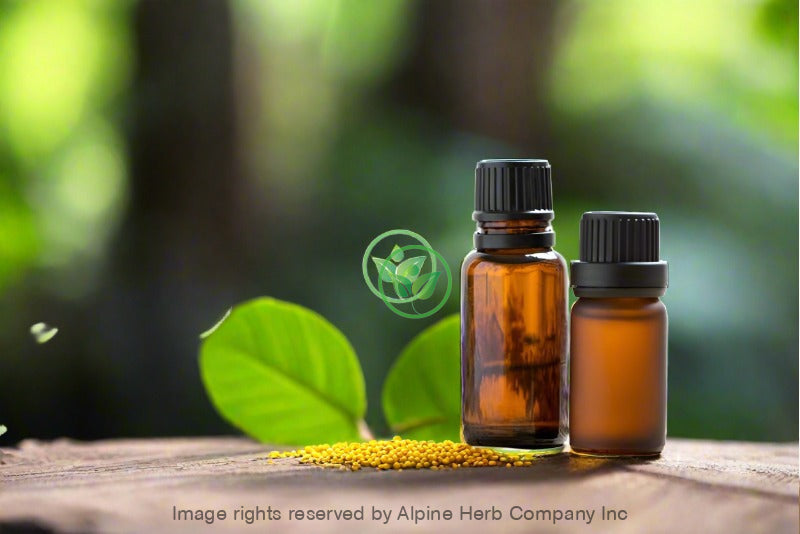 Mustard Seed Oil - Alpine Herb Company Inc.