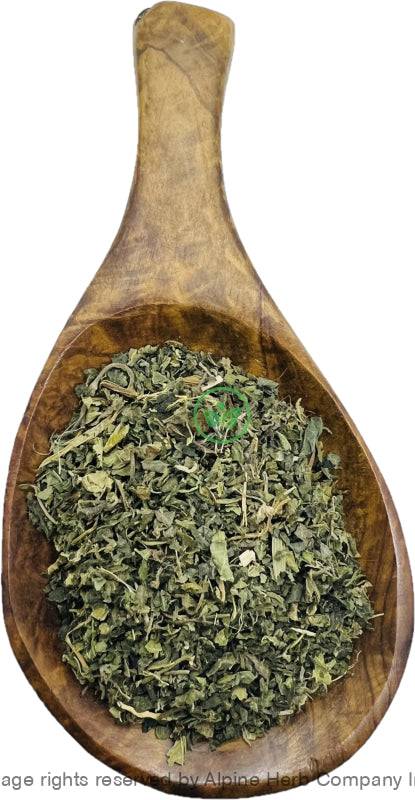 Nettle Leaves Cut (Stinging) - Alpine Herb Company Inc.