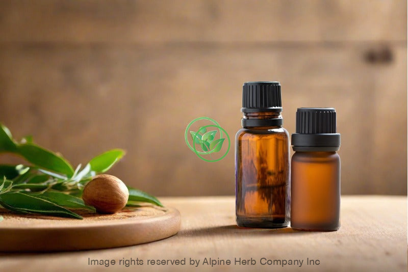 Nutmeg Oil - Alpine Herb Company Inc.