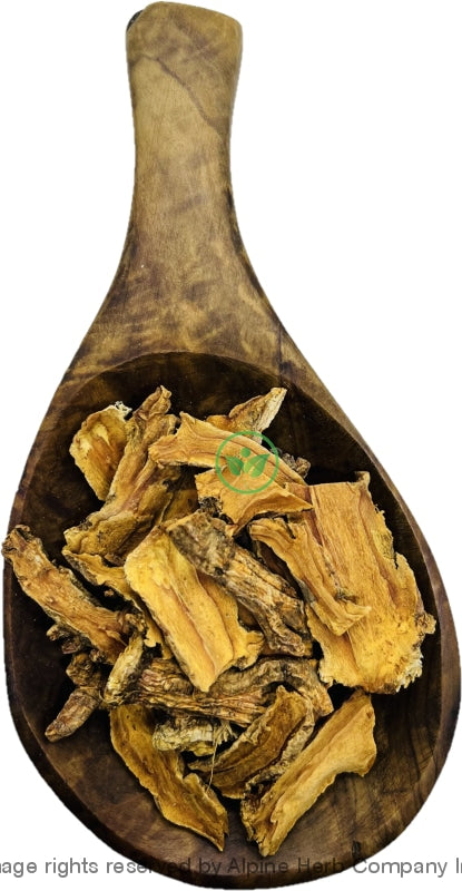 Qin Jiao (largeleaf Gentian) - Alpine Herb Company Inc.)