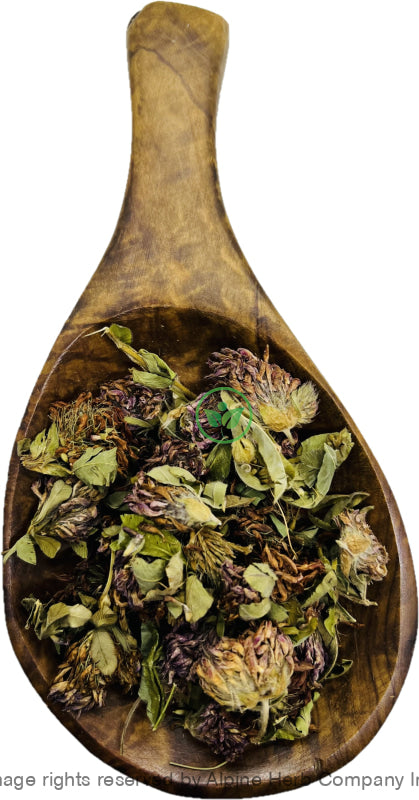 Red CLover Flower Tops Whole - Alpine Herb Company Inc.