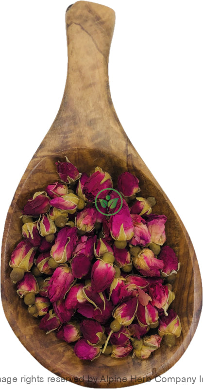 Red Rose Bulb  - Alpine Herb Company Inc.