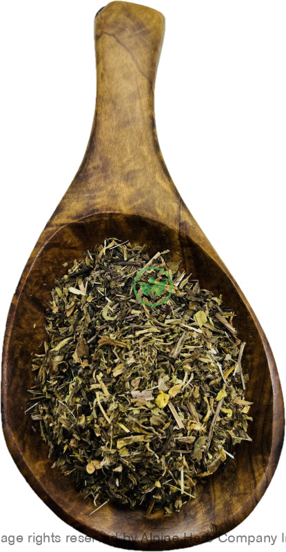 Ribwort Plantain Leaves Cut - Alpine Herb Company Inc.