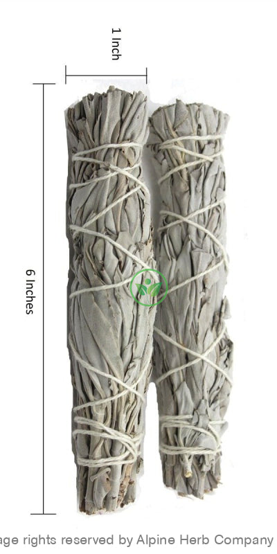 Sage Smudge Stick White - 6" (Medium) - Alpine Herb Company Inc.