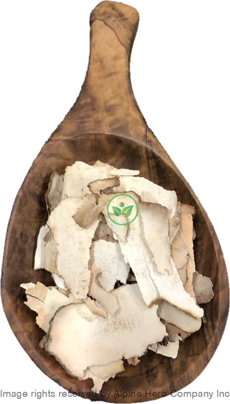 Smilax Root Cut - China (Chobchini) - Alpine Herb Company Inc.