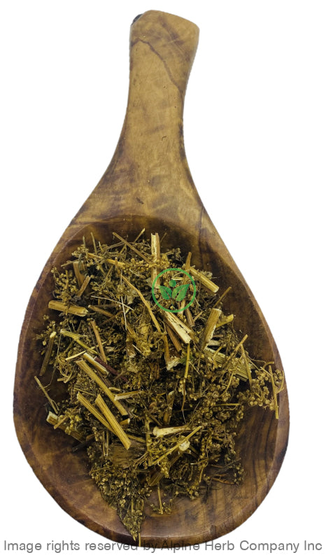 Sweet Wormwood Herb Cut - Alpine Herb Company Inc