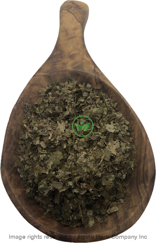 Witch Hazel Leaves Cut - Alpine Herb Company Inc.